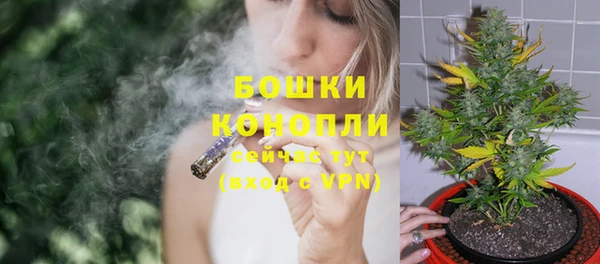 spice Кинешма