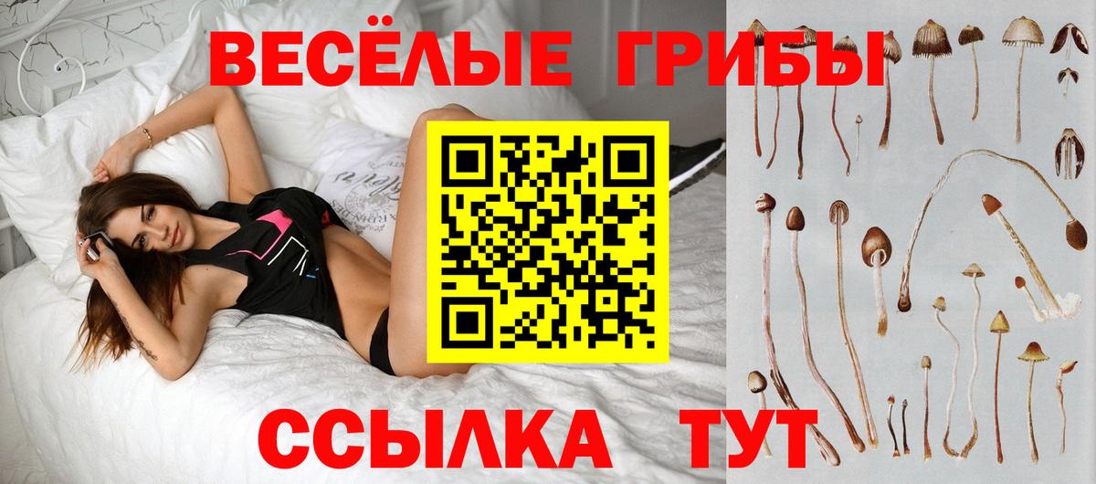 Псилоцибиновые грибы Cubensis Комсомольск-на-Амуре